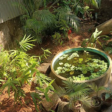 Adams Wood House Ayurveda Homestay Kochi 外观 照片