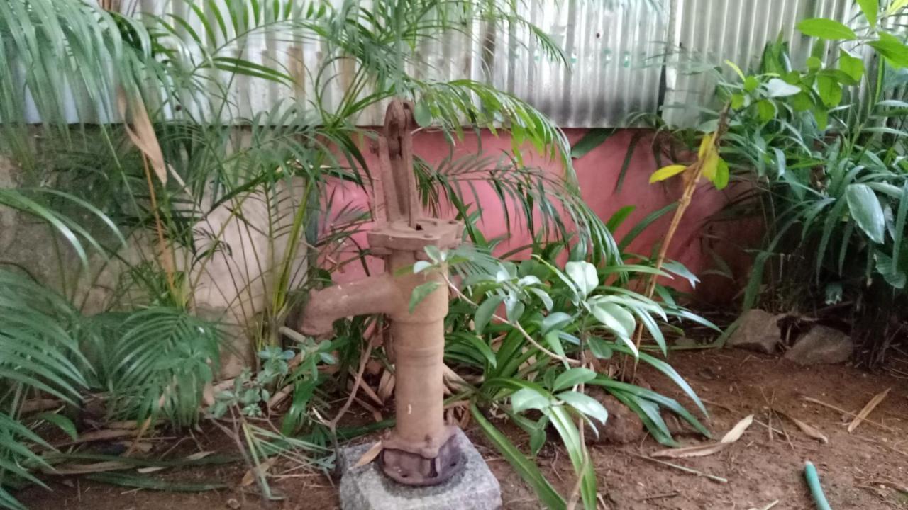 Adams Wood House Ayurveda Homestay Kochi 外观 照片